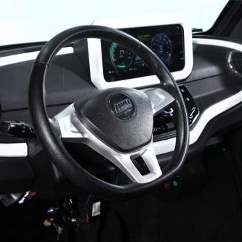 Preview: EV600 ELEKTRO-NUTZFAHRZEUG PICK-UP, 60 KM/H